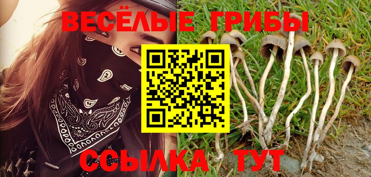 Галлюциногенные грибы GOLDEN TEACHER Тихвин