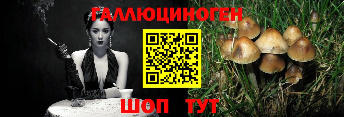 Псилоцибиновые грибы Psilocybine cubensis  Галлюциногенные грибы мухоморы  Вход с VPN  Тихвин 